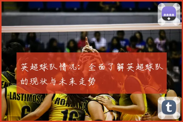 英超球队情况：全面了解英超球队的现状与未来走势