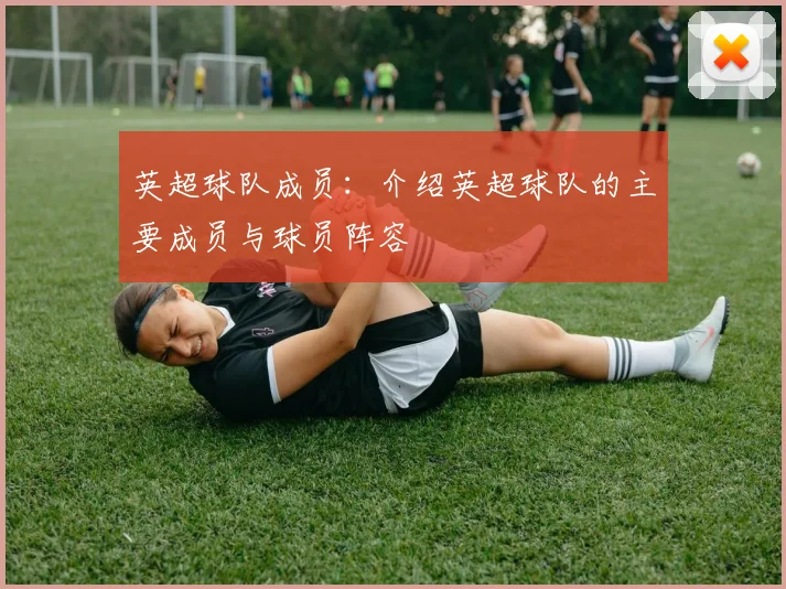 英超球队成员：介绍英超球队的主要成员与球员阵容