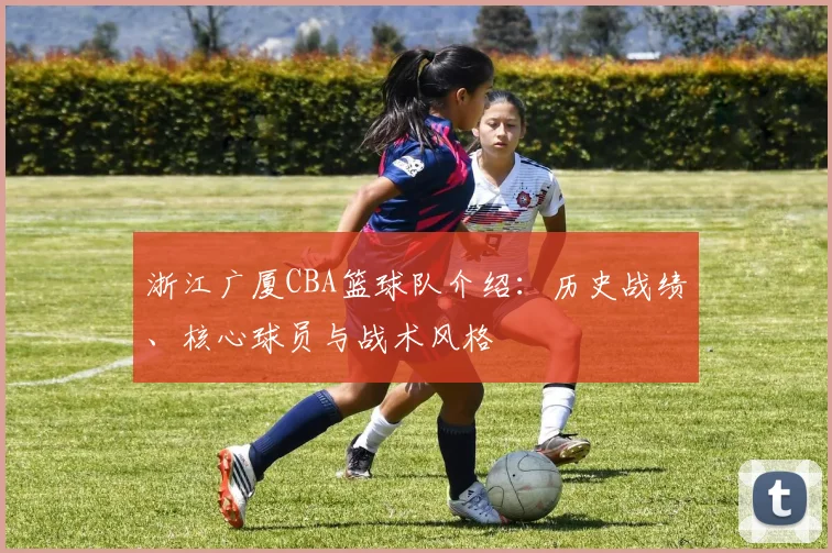 浙江广厦CBA篮球队介绍:历史战绩、核心球员与战术风格
